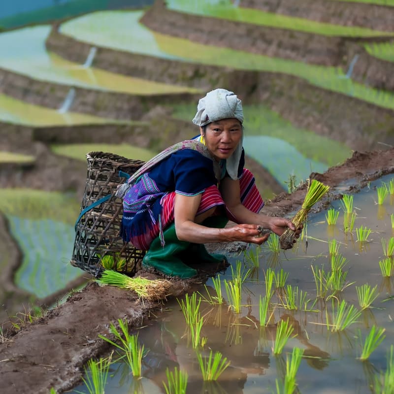 reizen naar Vietnam met Explore