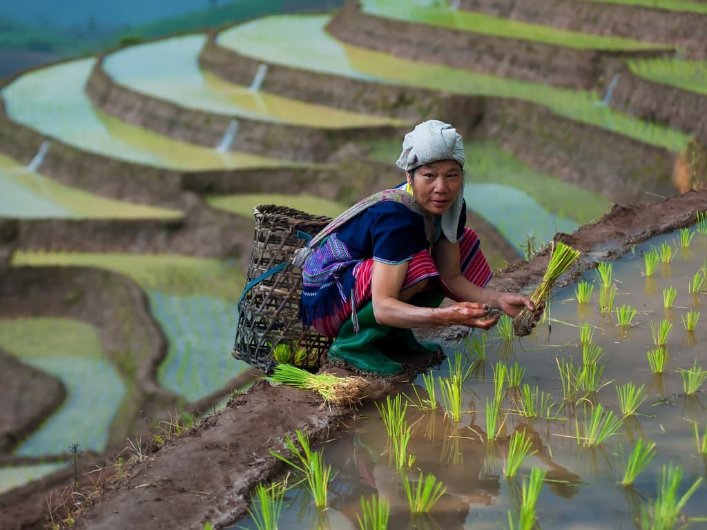 reizen naar Vietnam met Explore