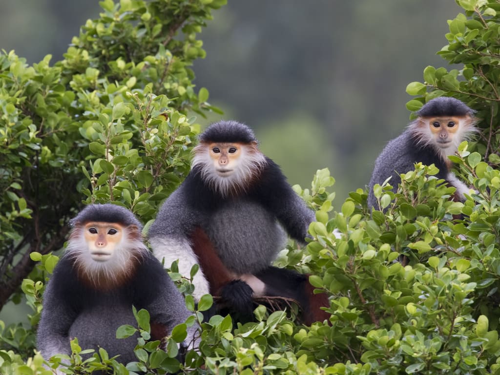 reizen naar Vietnam met Explore