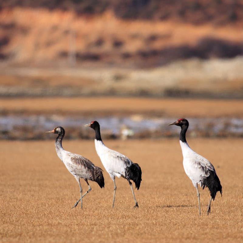 reizen naar Bhutan met Explore