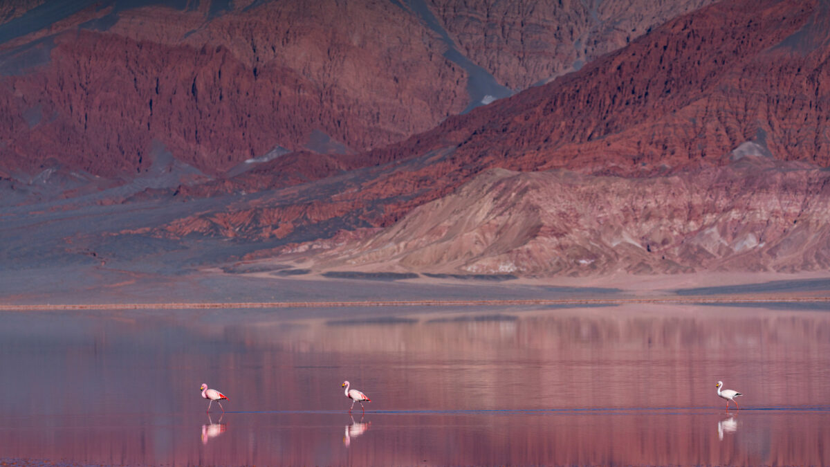 reizen naar Argentinië met Explore