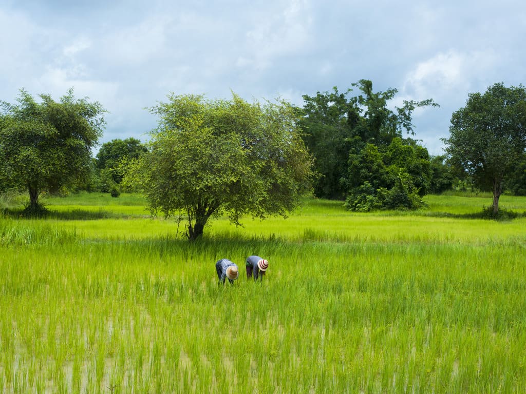 reizen naar Cambodja met Explore
