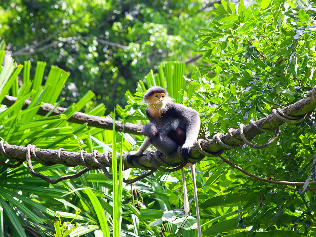 reizen naar Cambodja met Explore