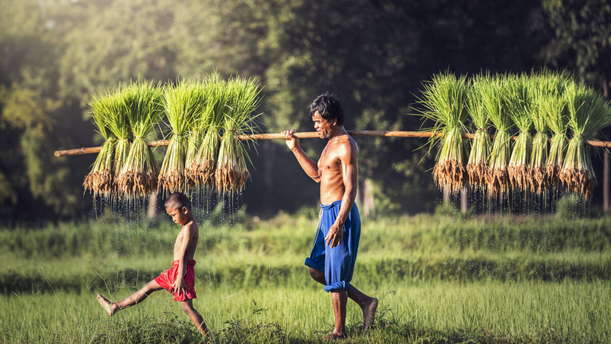 reizen naar Cambodja met Explore
