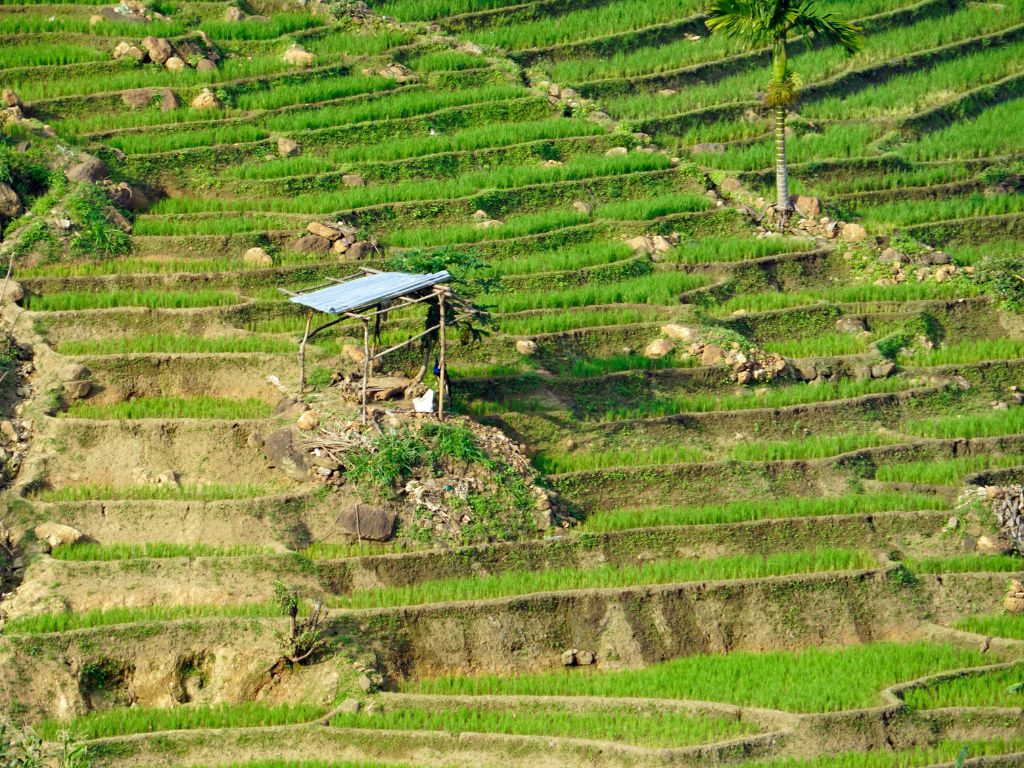 reizen naar Sri Lanka met Explore