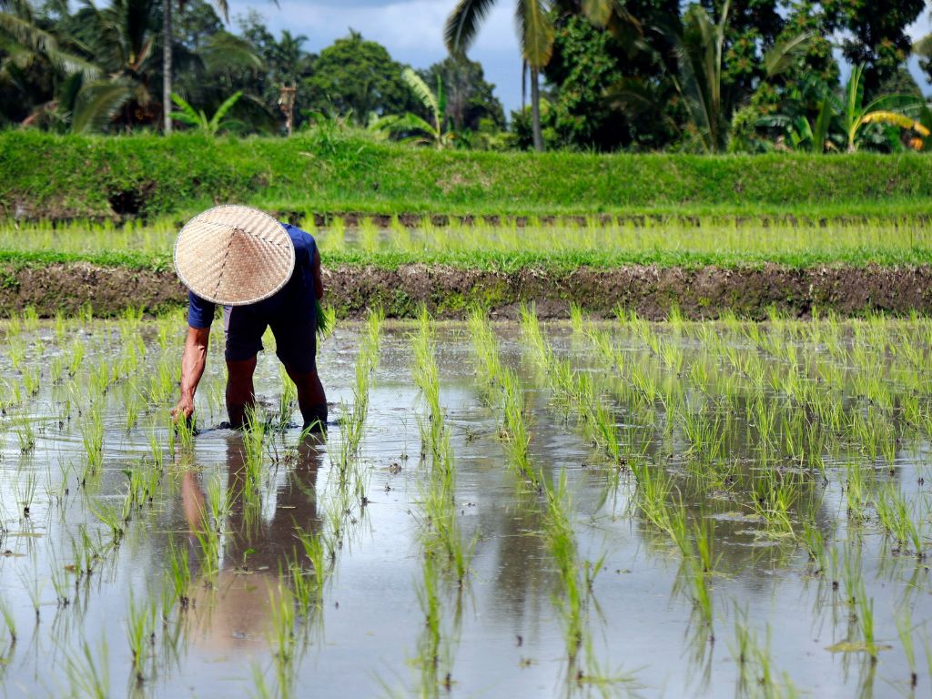 reizen naa Thailand met Explore