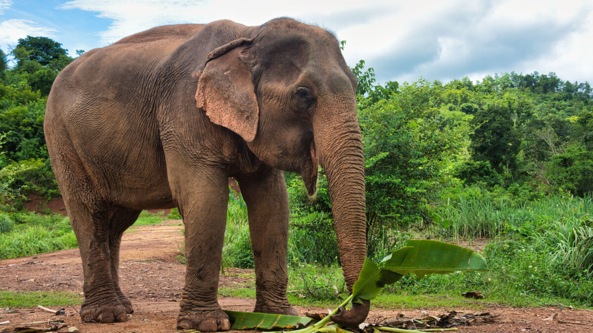 reizen naar Laos met Explore