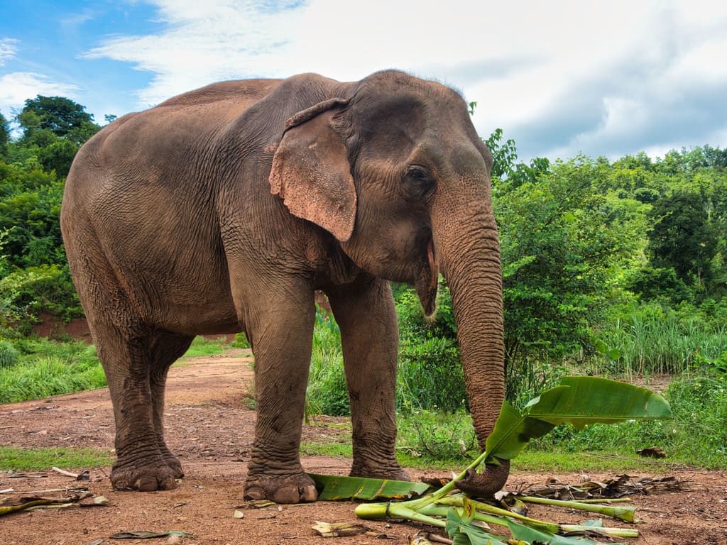 reizen naar Laos met Explore