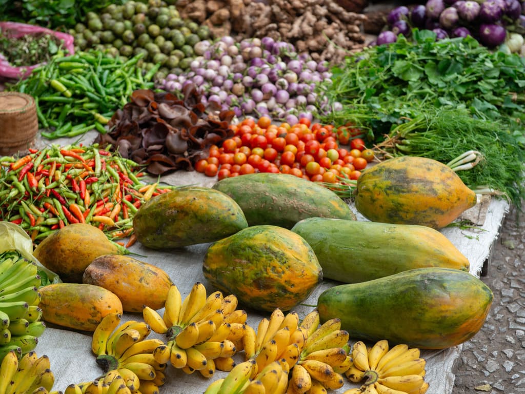 reizen naar Laos met Explore