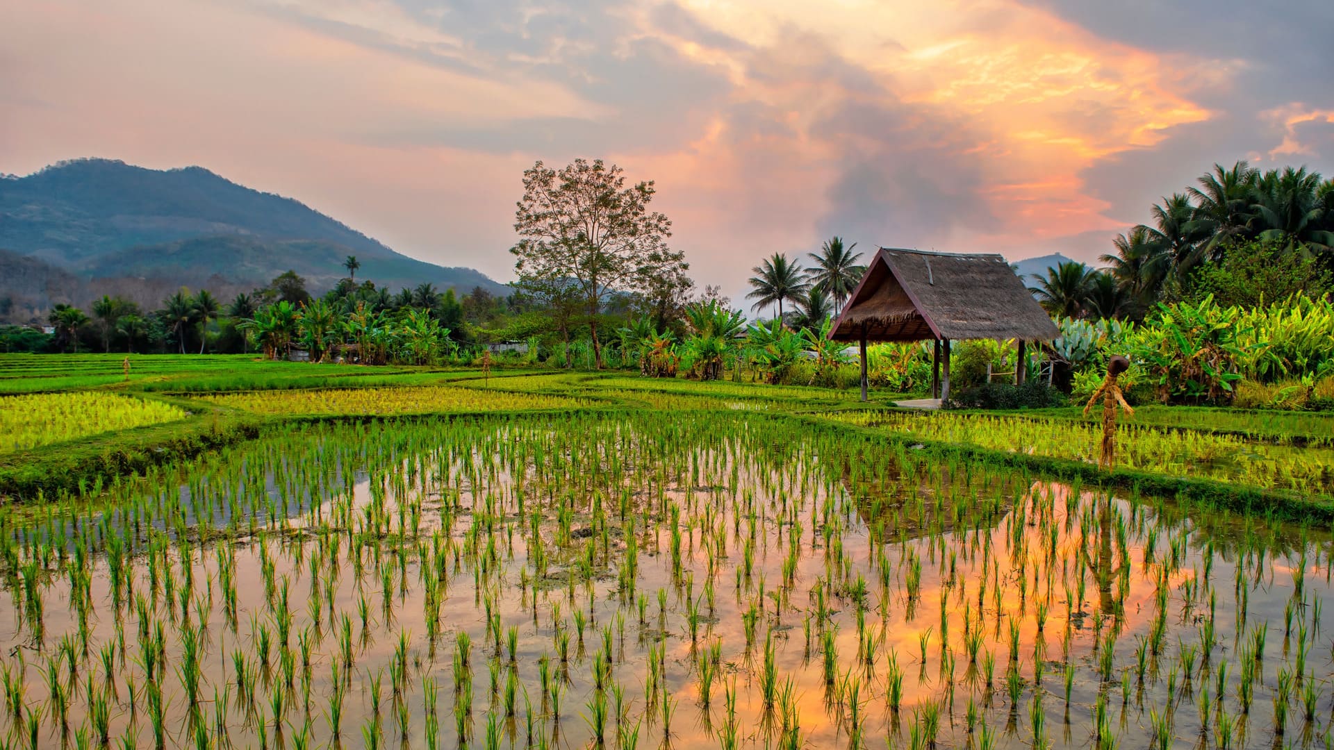 reizen naar Laos met Explore