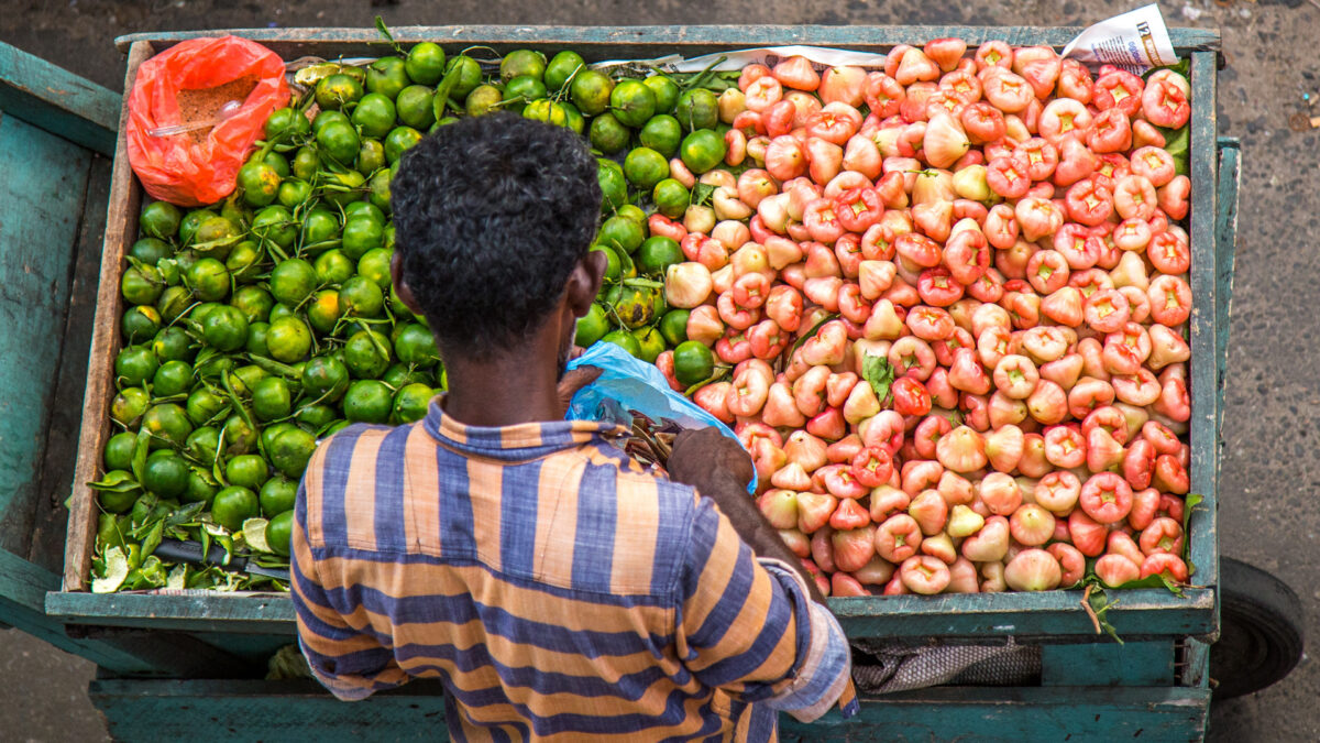 reizen naar Sri Lanka met Explore