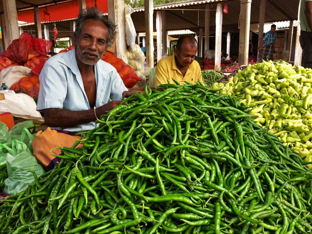 reizen naar Sri Lanka met Explore