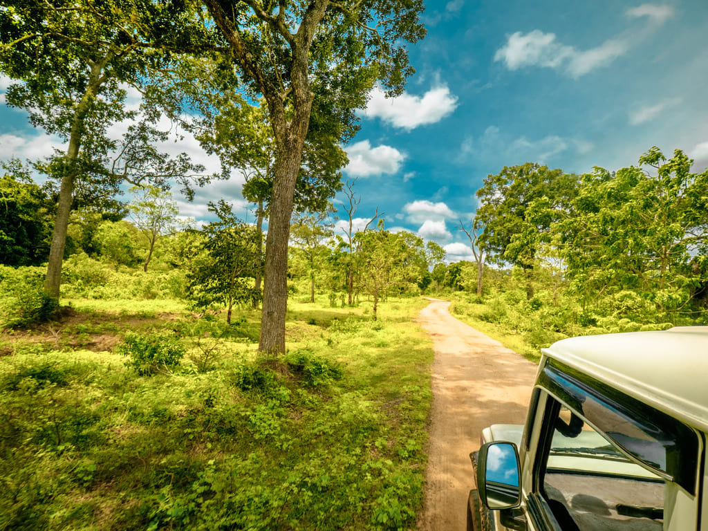 reizen naar Sri Lanka met Explore