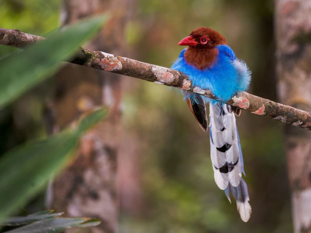 reizen naar Sri Lanka met Explore