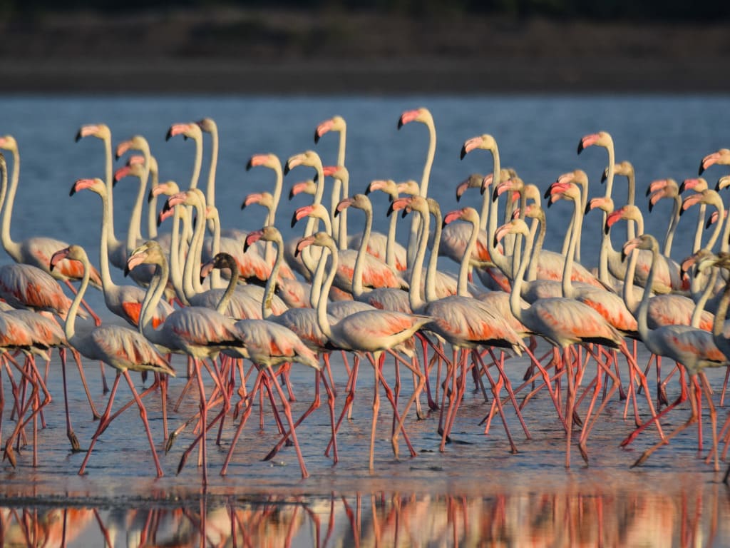 reizen naar Sri Lanka met Explore