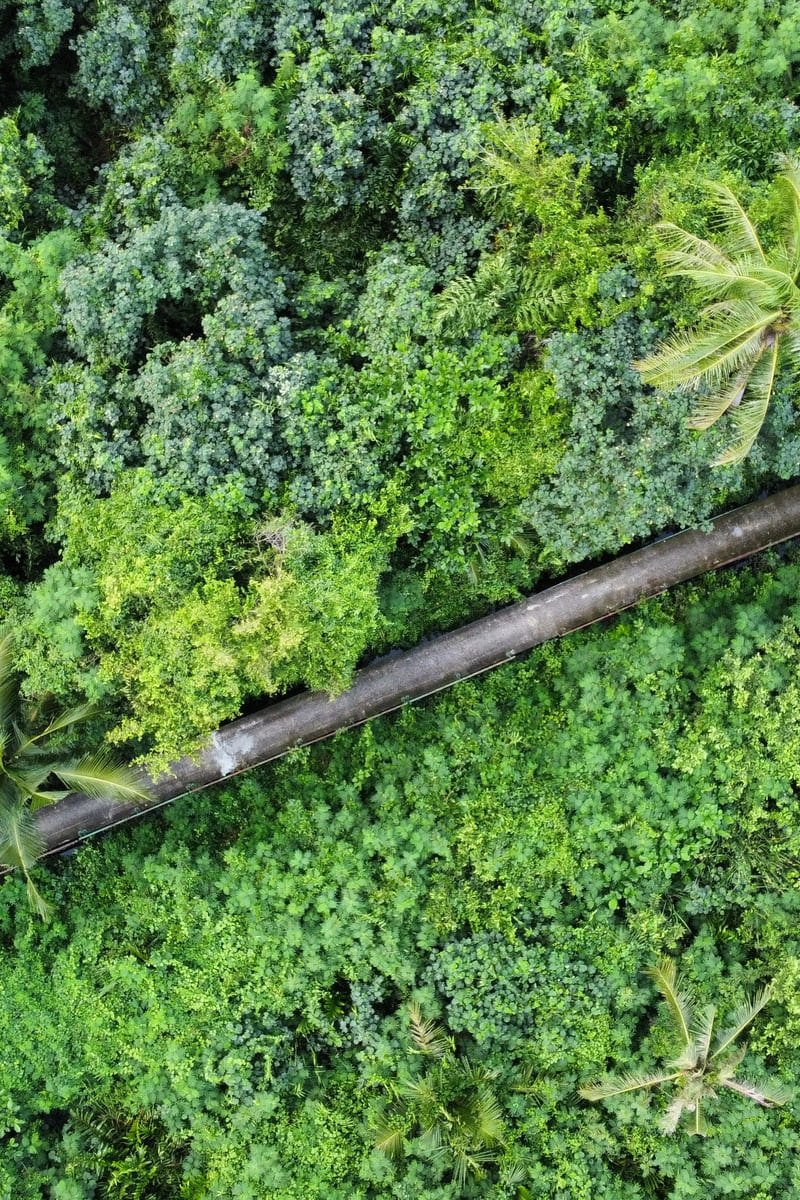 Thailand – Land van Lanna