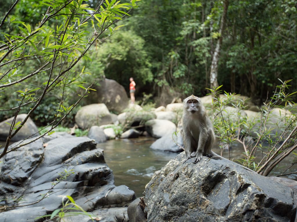 reizen naar Thailand met Explore