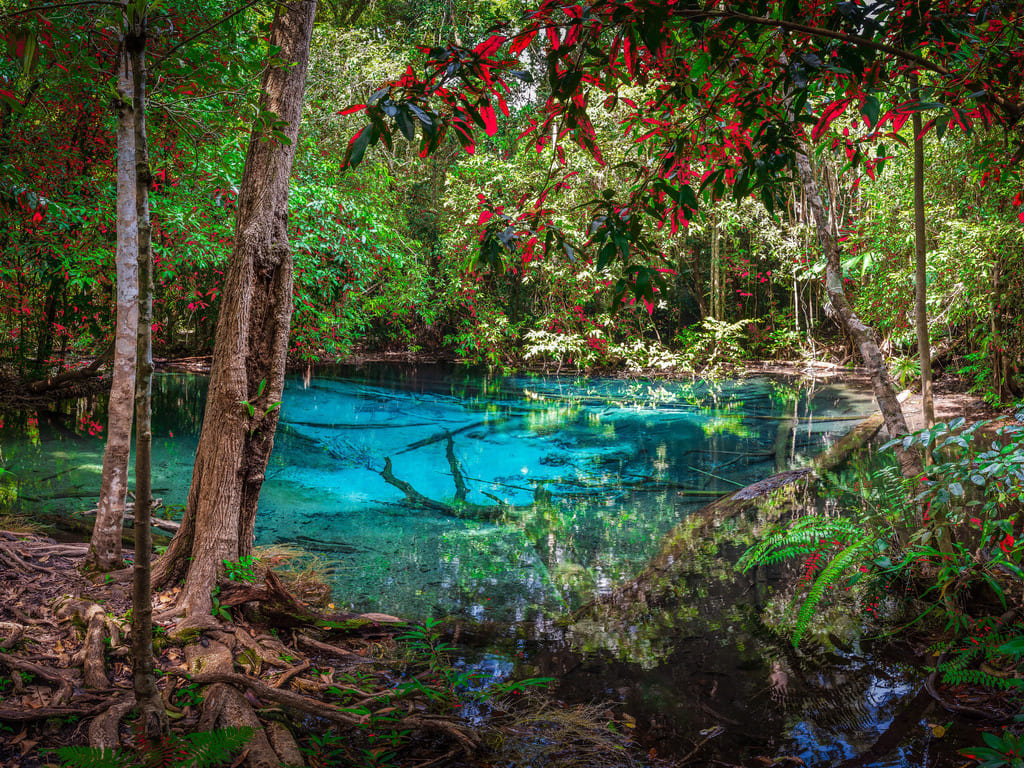 reizen naar Thailand met Explore