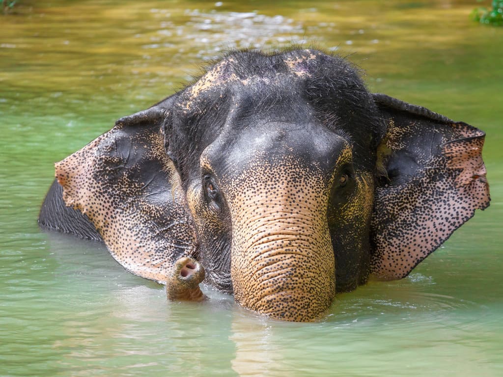 reizen naar Thailand met Explore