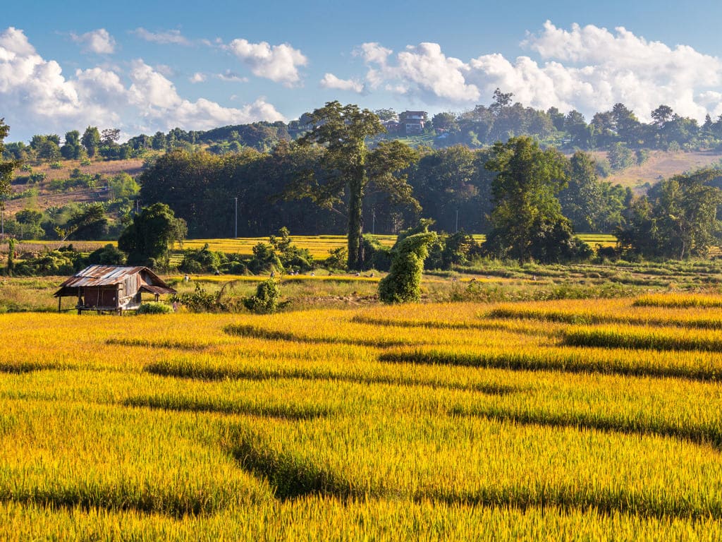 reizen naar Thailand met Explore