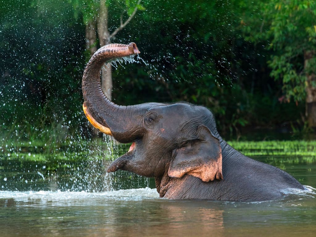 reizen naar Thailand met Explore