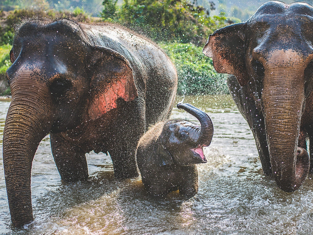 reizen naar Thailand met Explore