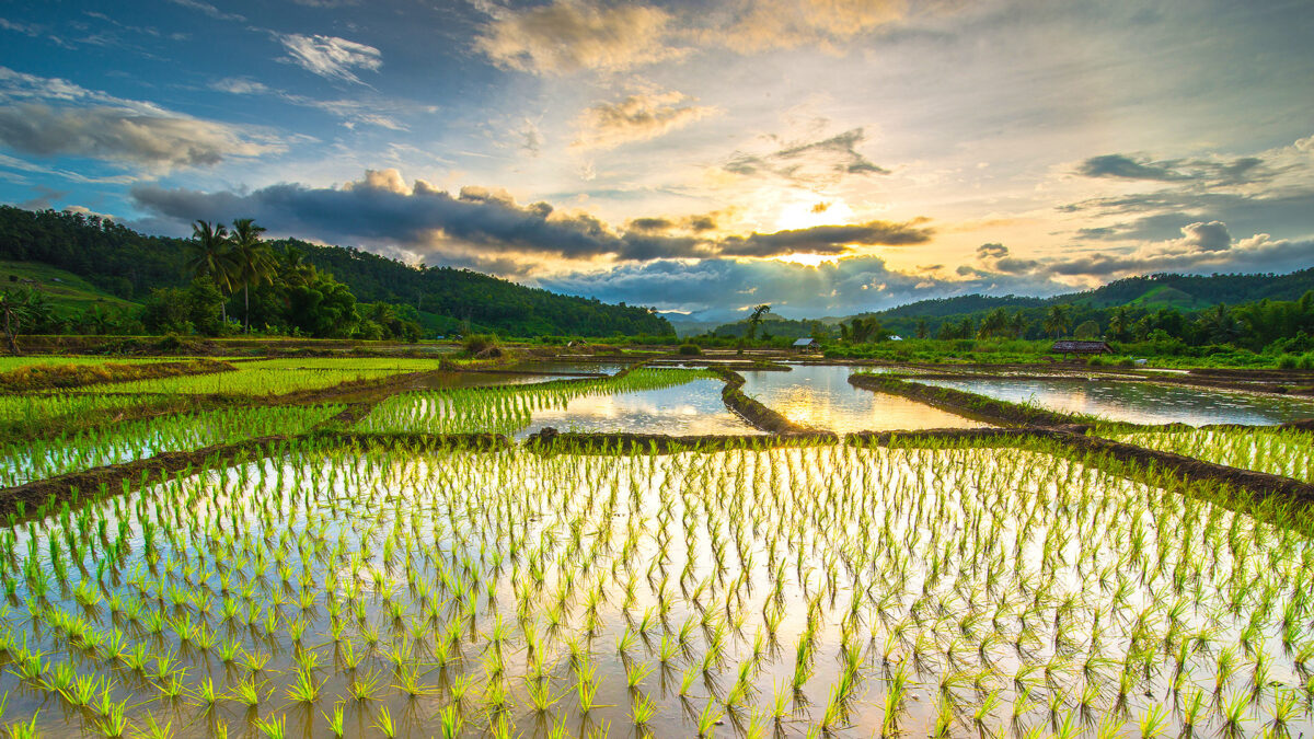 reizen naar Thailand met Explore