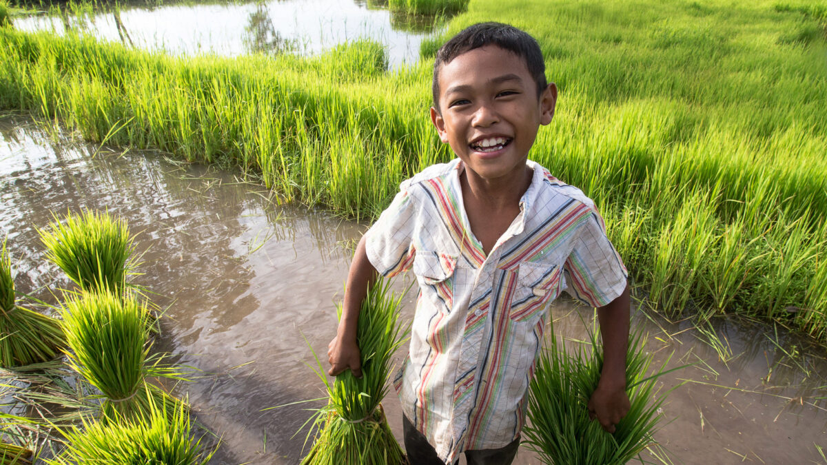 reizen naar Thailand met Explore