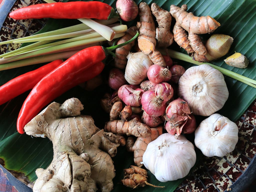 reizen naar Bali met Explore