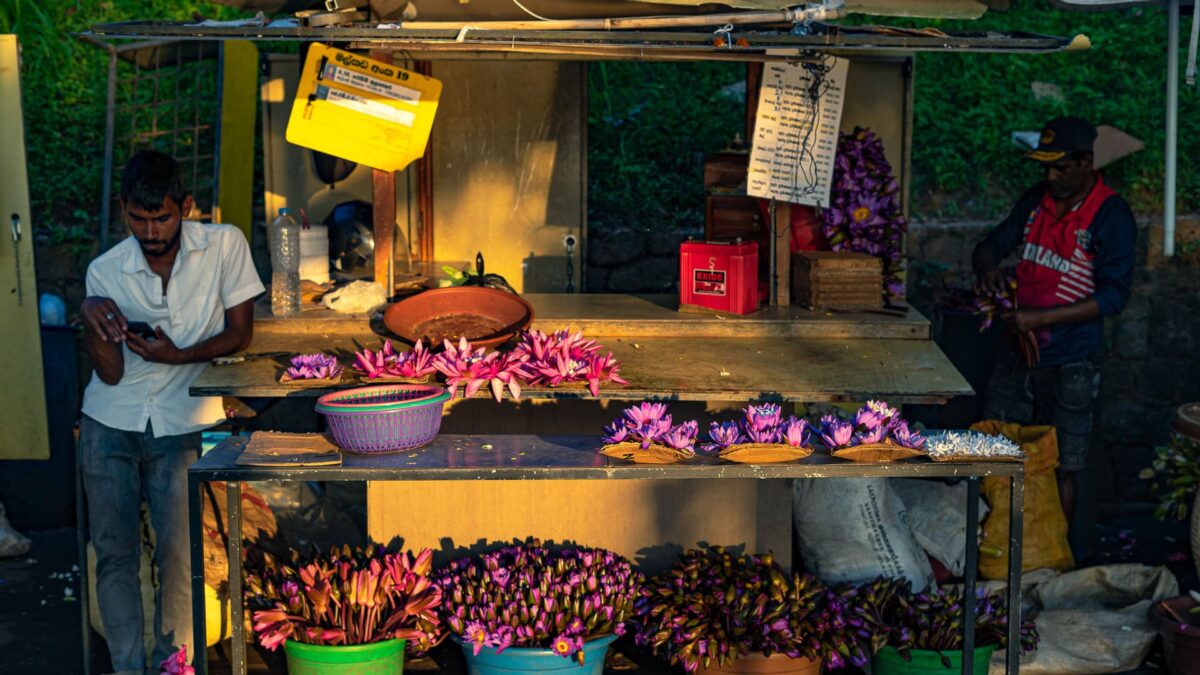 reizen naar Sri Lanka met Explore