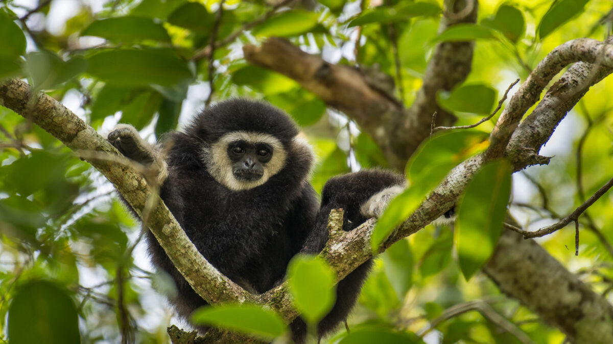 reizen naar Thailand met Explore