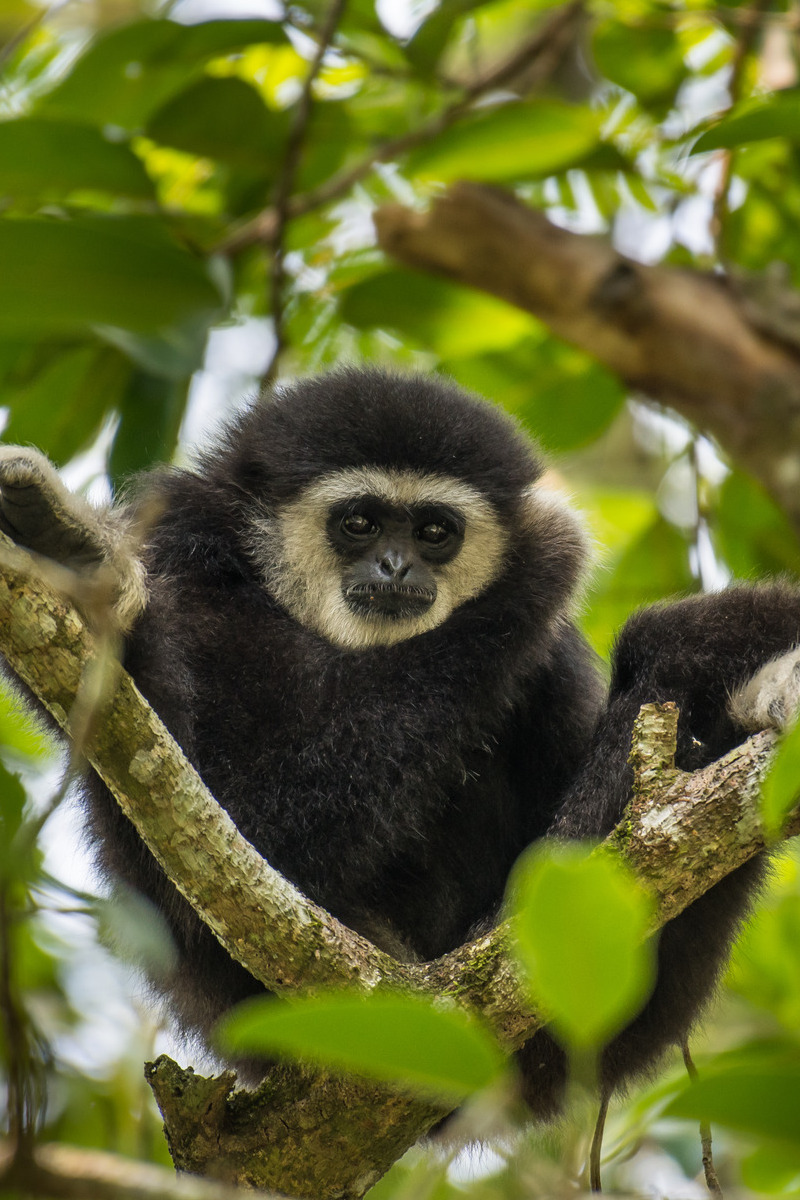 Thailand van binnenuit